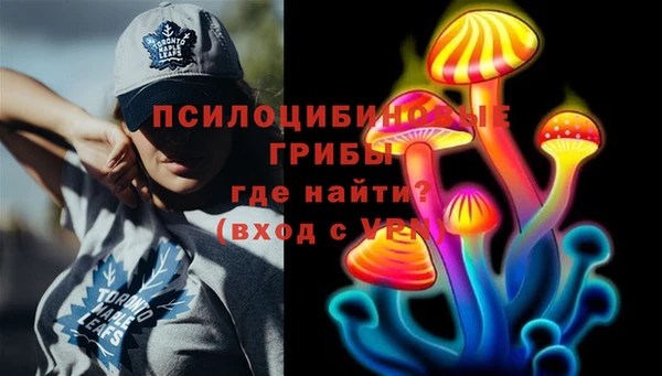таблы Грязовец