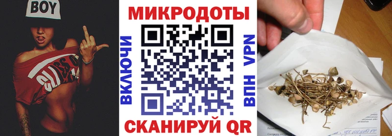 сколько стоит  kraken ссылки  дарк нет телеграм  Болохово  Галлюциногенные грибы Psilocybine cubensis 