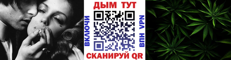 Бошки марихуана Amnesia  Болохово 